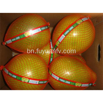 ভাল স্বাদ সঙ্গে Hotsale টাটকা Pomelo